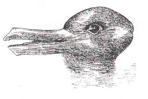 The classic duck-rabbit optical illusion, rendered in black ink with fine crosshatching. Viewed one way, the image shows a duck facing left with its beak open. Rotated, the same shape becomes a rabbit facing right, with the beak becoming a pair of long ears.
