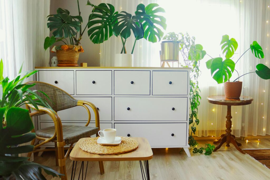A bright, plant-filled corner of a room with a white four-drawer dresser against sheer curtains strung with warm fairy lights. A rattan chair sits beside a small wooden side table holding a white coffee cup on a woven placemat, with large monstera plants and a wooden pedestal plant stand filling the space with greenery.