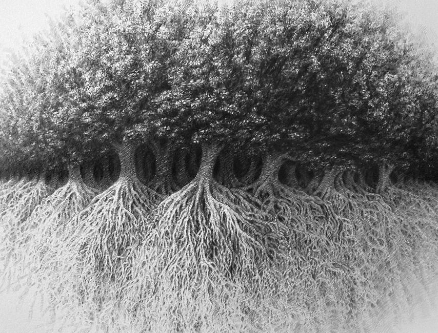Graphite pencil drawing zoomed into the lip surface, where a row of thick-trunked trees lines the seam of the mouth. Dense foliage fills the upper lip and gnarled roots web across the lower.