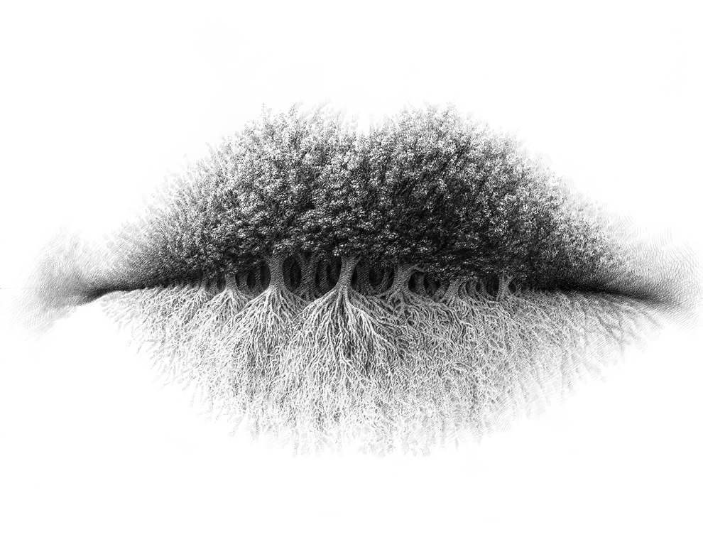 Human lips drawn in graphite pencil. A grove of ancient trees stretches across the mouth, their merged canopy shaping the upper lip and exposed root systems tangling downward through the lower lip.
