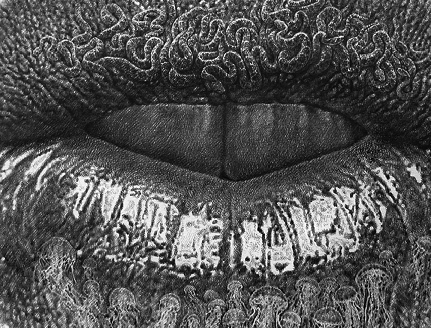 Graphite pencil drawing zoomed into the lip surface. Tightly coiled coral-like organisms coat the upper lip, while the lower lip is encrusted with translucent jellyfish and small sea creatures clinging to the skin.