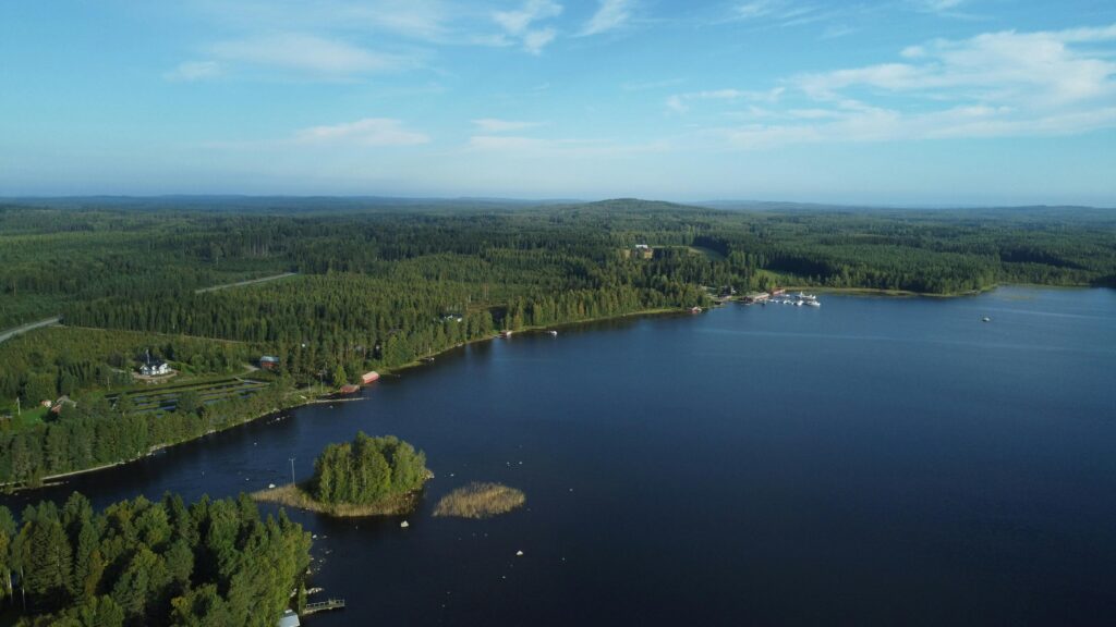 Aerial view of a lake and forested area