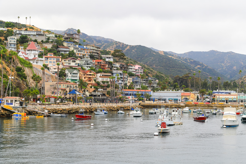 AVALON, CALIFORNIA, USA - MAY 31, 2017: The largest City on Santa Catalina Island with many houses in the hills and many boats in the marina.  Photographed by the seafront.