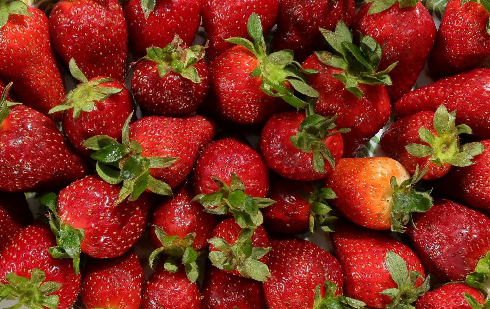 Found Tiny White Worms In Your Strawberries? Here’s What To Do - Featured image
