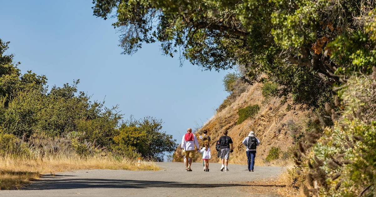A family enjoying a leisurely hike on a scenic mountain trail under a bright blue sky.