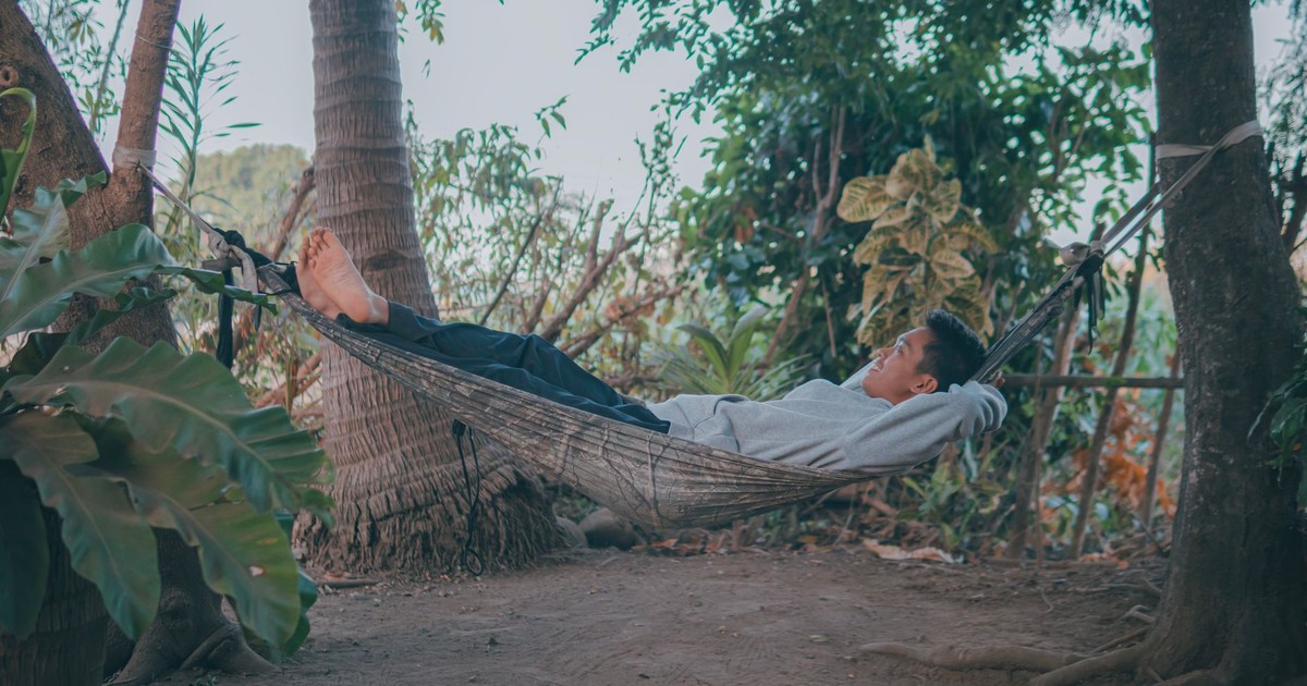 A young man enjoying a peaceful moment in a hammock surrounded by lush greenery.