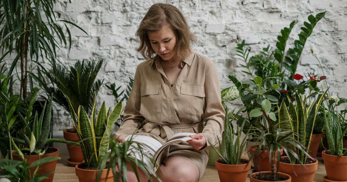 A woman sits among potted plants, enjoying a book in a cozy indoor setting.
