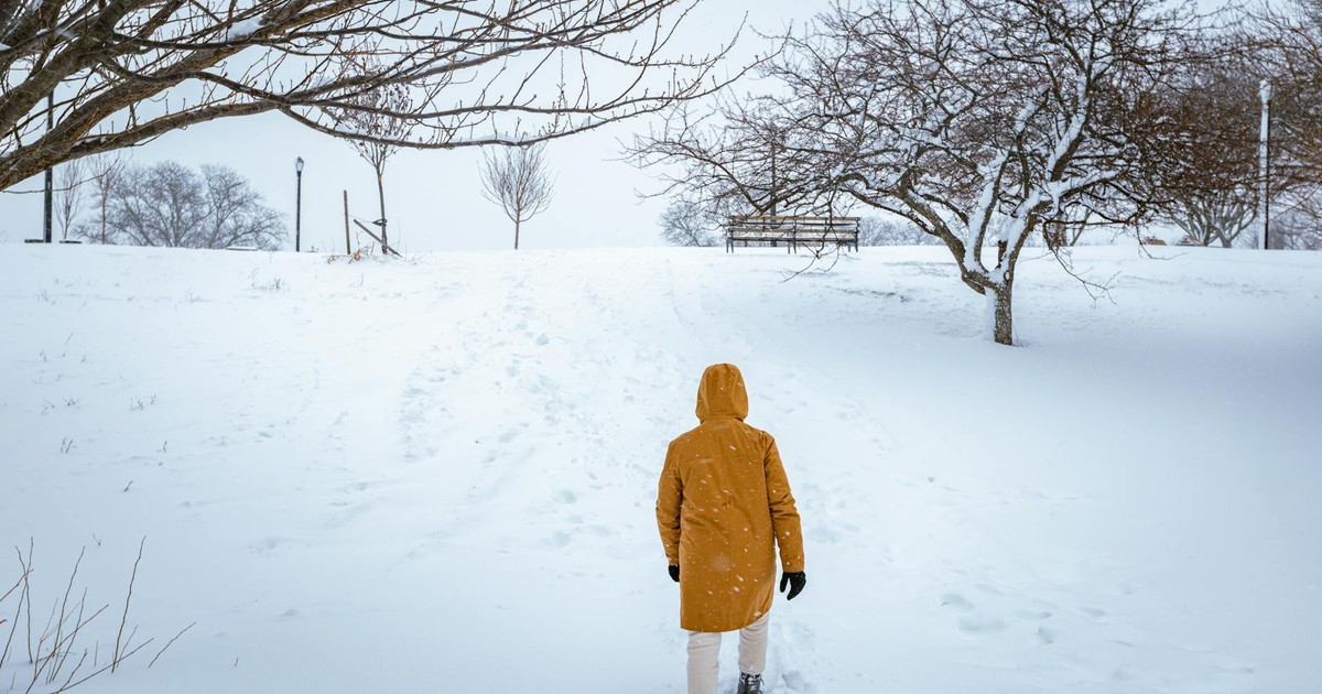 A person in a winter coat walks through a snow-covered park in New York City during winter.