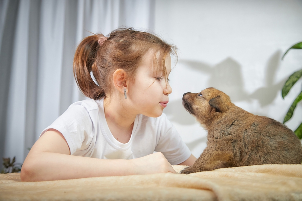 Girl interacts with a playful puppy in a cozy indoor setting during a bright afternoon