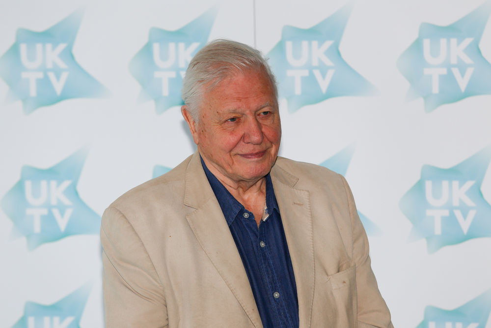 David Attenborough’s Longevity Secrets at Age 100 - Featured image