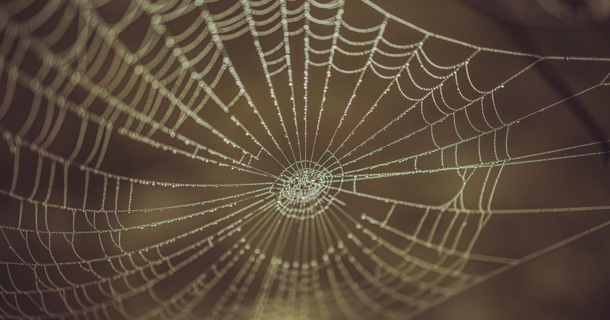 Detailed close-up of a spiderweb with dew drops, showcasing natural patterns and texture.