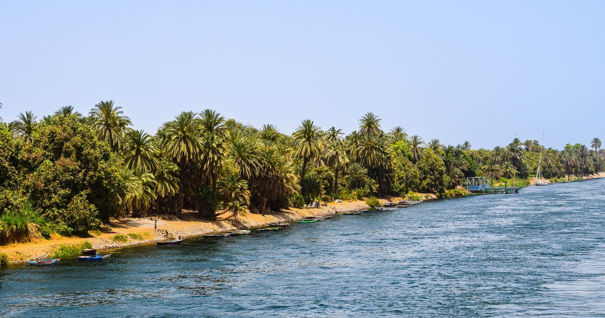 A scenic summer view of the Nile River bordered by lush palm trees and greenery.