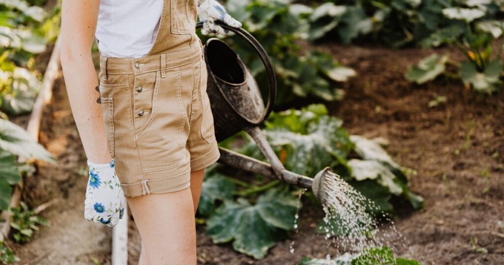 Never Do These 10 Things in the Garden During a Heat Wave - Featured image