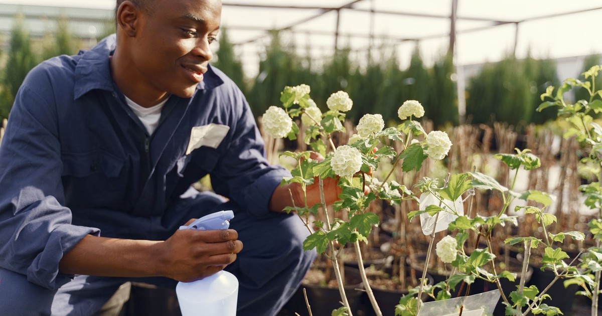 Smiling young gardener watering plants in a nursery garden with a spray bottle.