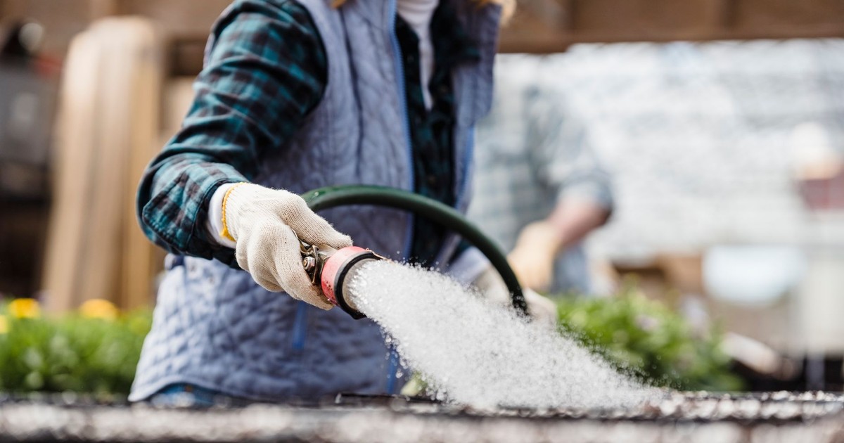 Crop anonymous female gardener with hose watering planted seeds in containers while working in garden with plants on blurred background