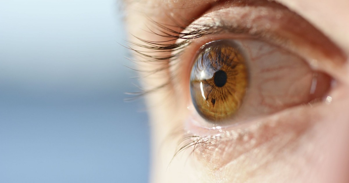 Detailed close-up photo of a brown eye showcasing intricate details of the iris and eyelashes.