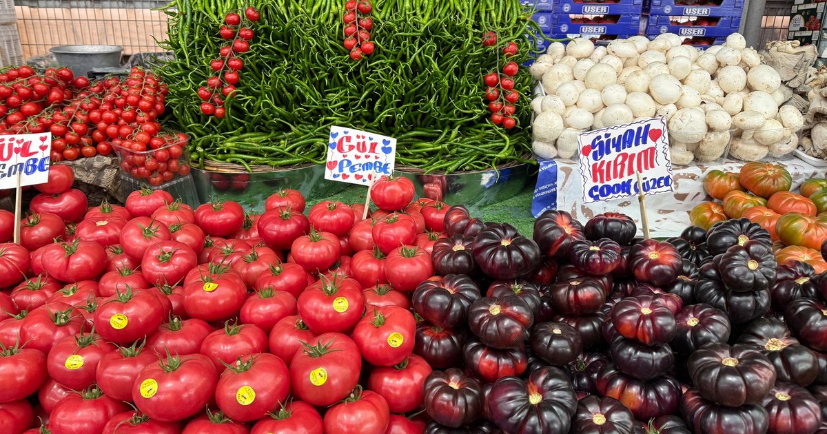 Vibrant array of fresh tomatoes, peppers, and mushrooms at a bustling market in Istanbul, Turkey.