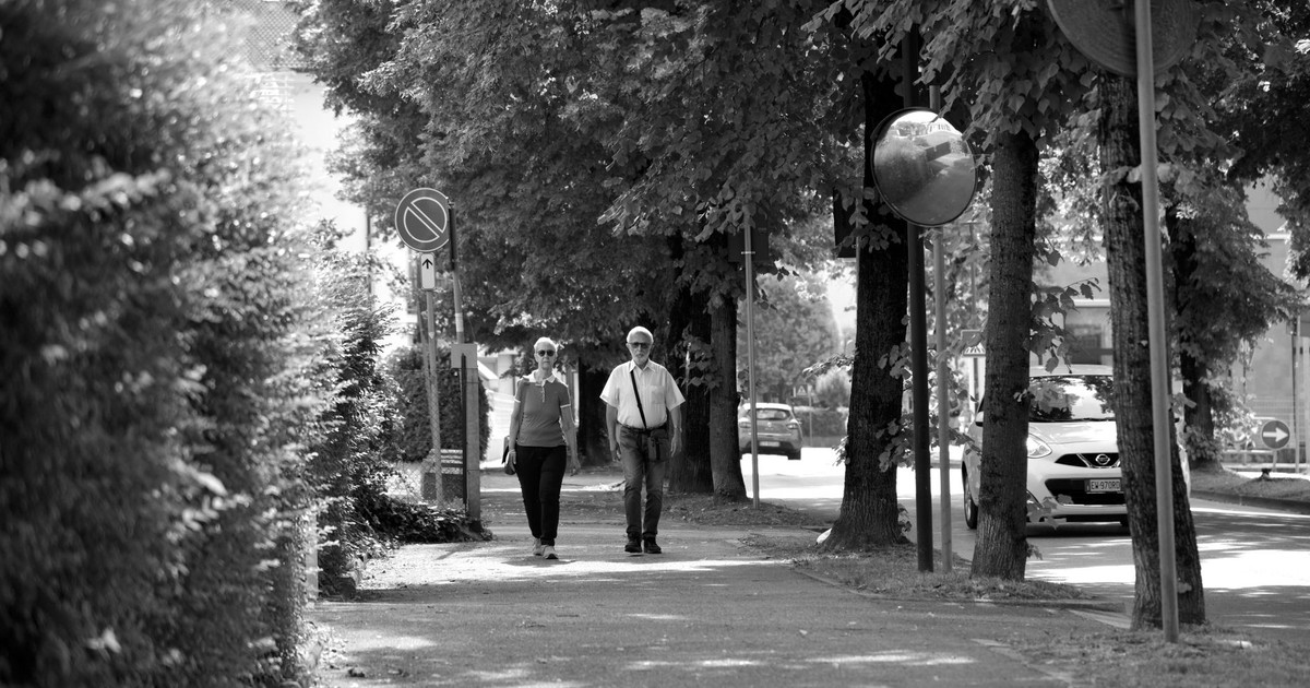 A senior couple walks together down a tree-lined path in Abano Terme, Italy, exuding warmth and companionship.
