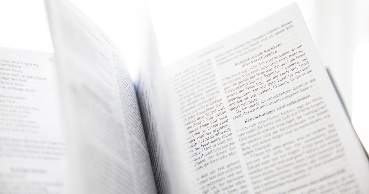 Close-up of an open book with visible text and turning pages in natural light.
