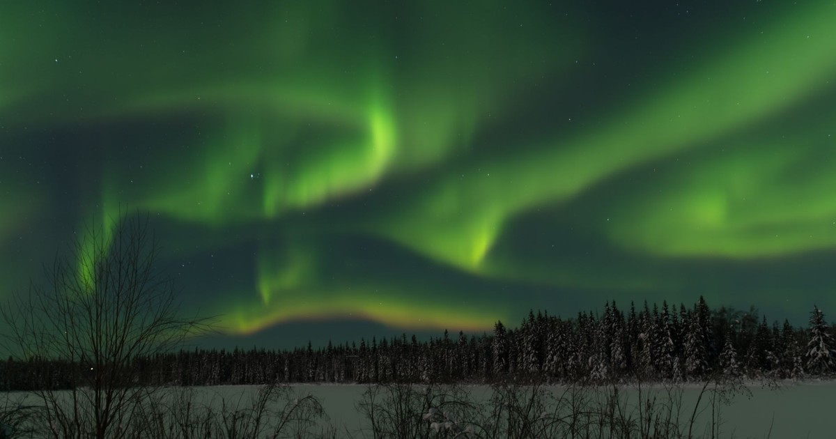 Capture the mesmerizing northern lights dancing above a snowy Alaskan forest.