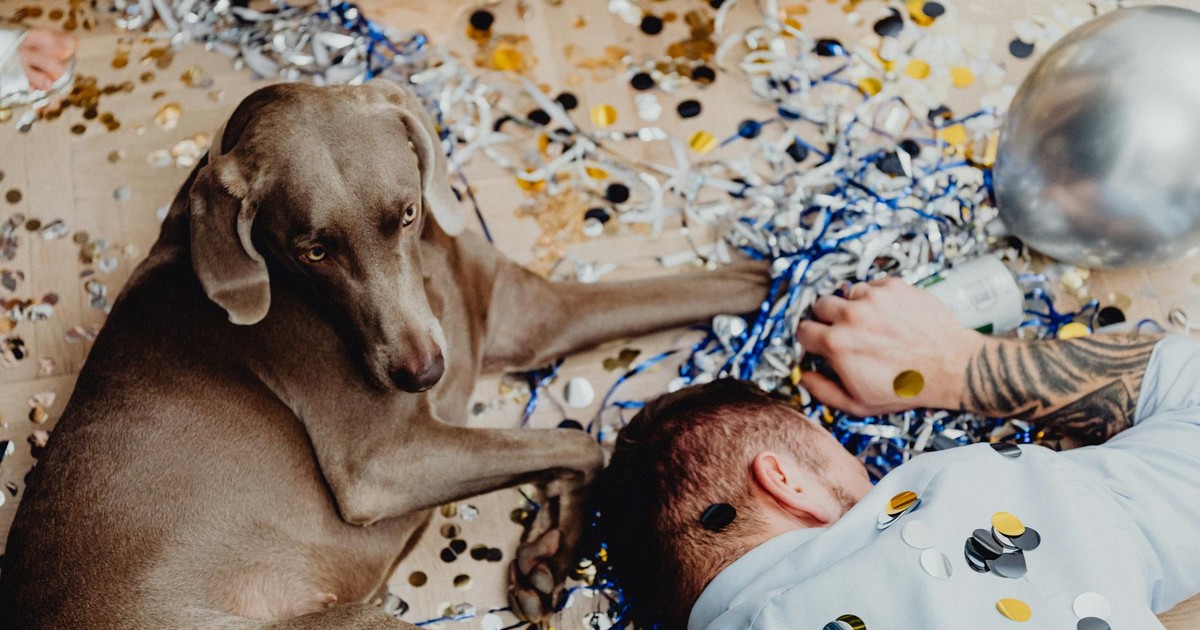 A Weimaraner and a man surrounded by confetti and balloons after a party, creating a lively and humorous moment.