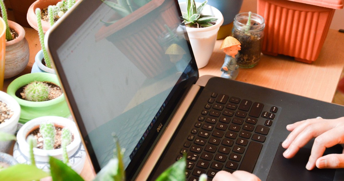 Hands typing on a laptop surrounded by potted plants in a cozy indoor setting.