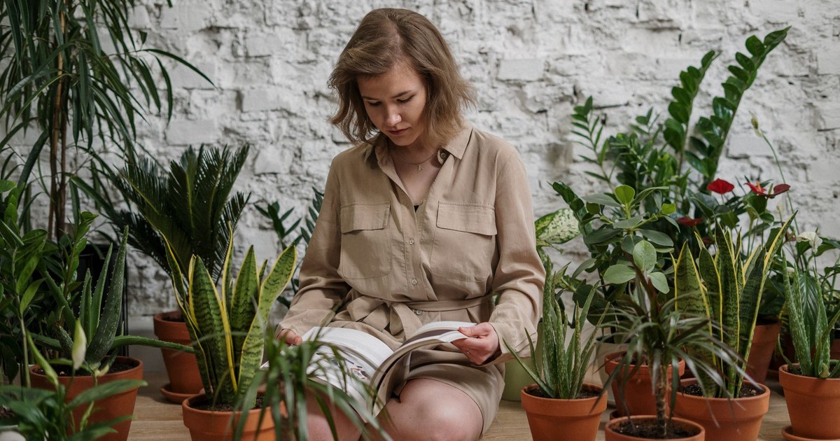 A woman sits among potted plants, enjoying a book in a cozy indoor setting.