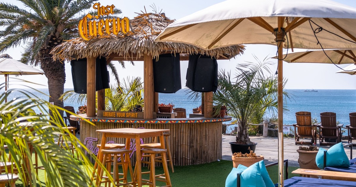 Relaxing tiki-style beach bar with ocean view and palm trees, perfect for a summer vacation.