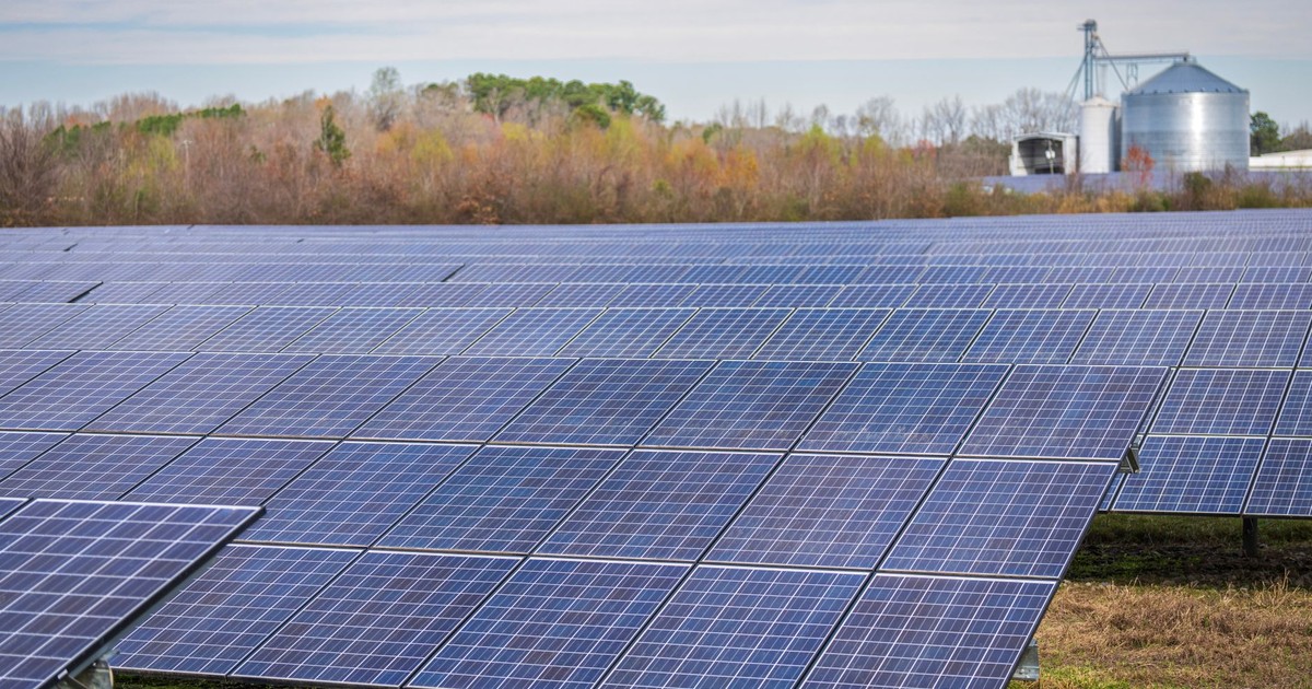 A large field of solar panels capturing renewable energy under a clear sky.