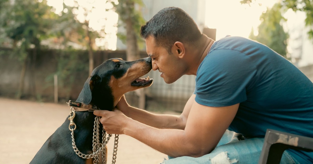 A man and a Doberman interact warmly outdoors, showcasing companionship.
