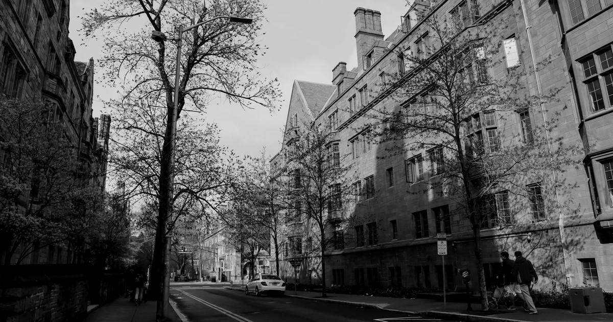 Black and white photo of a historic street in New Haven with classic architecture and trees lining the road.
