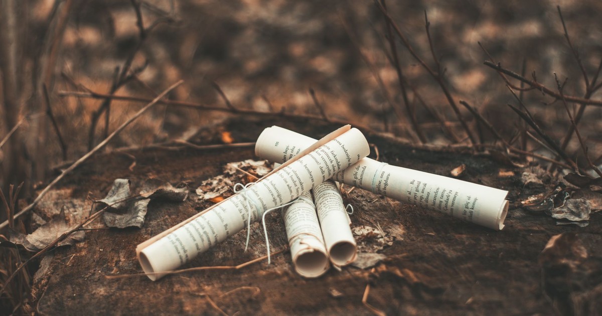 Rolls of textbook pages tied with rope on uneven surface near dry twigs in forest