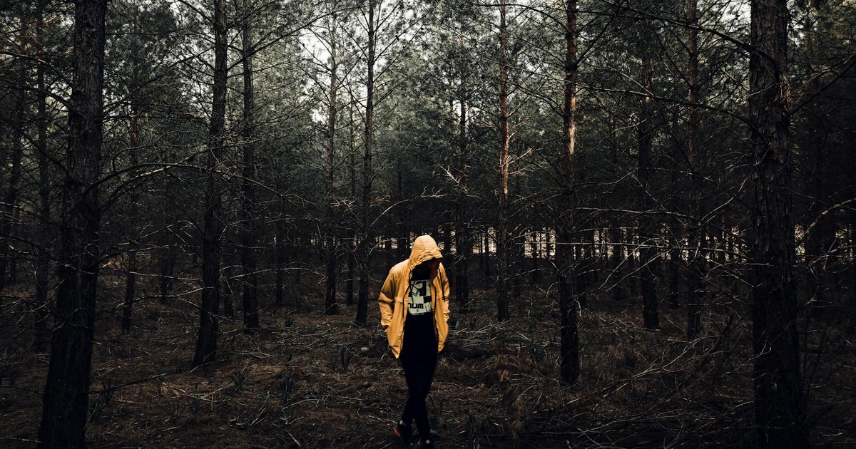 A person in a yellow jacket walks through a serene forest, capturing the essence of solitude and nature.