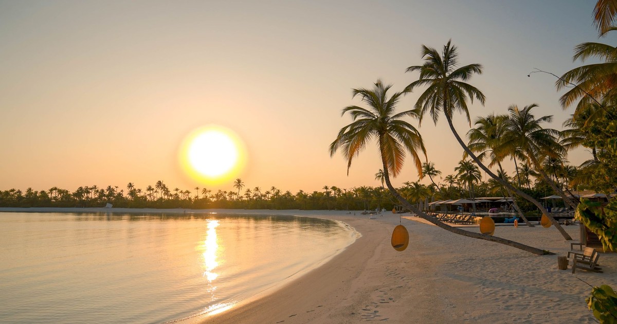Idyllic tropical beach at sunrise with palm trees and golden sand, perfect for a serene vacation getaway.
