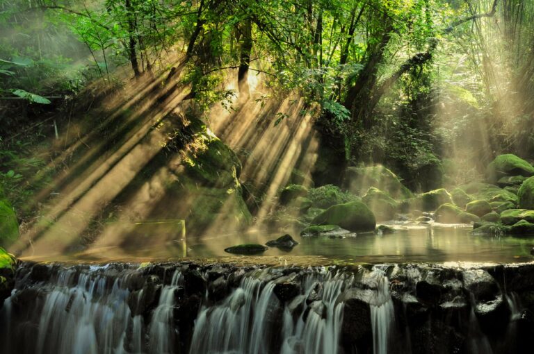 Where Was the Garden of Eden? 10 Incredible Theories That Might Surprise You - Featured image