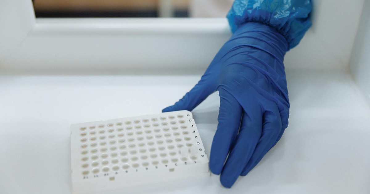 Scientist with protective gloves handling test samples in a sterile laboratory environment.