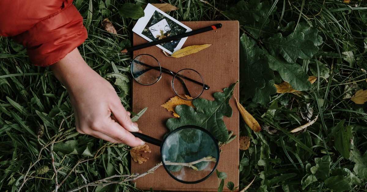 A hand examines leaves with a magnifier on grass. Eyeglasses and polaroid complete the scene.