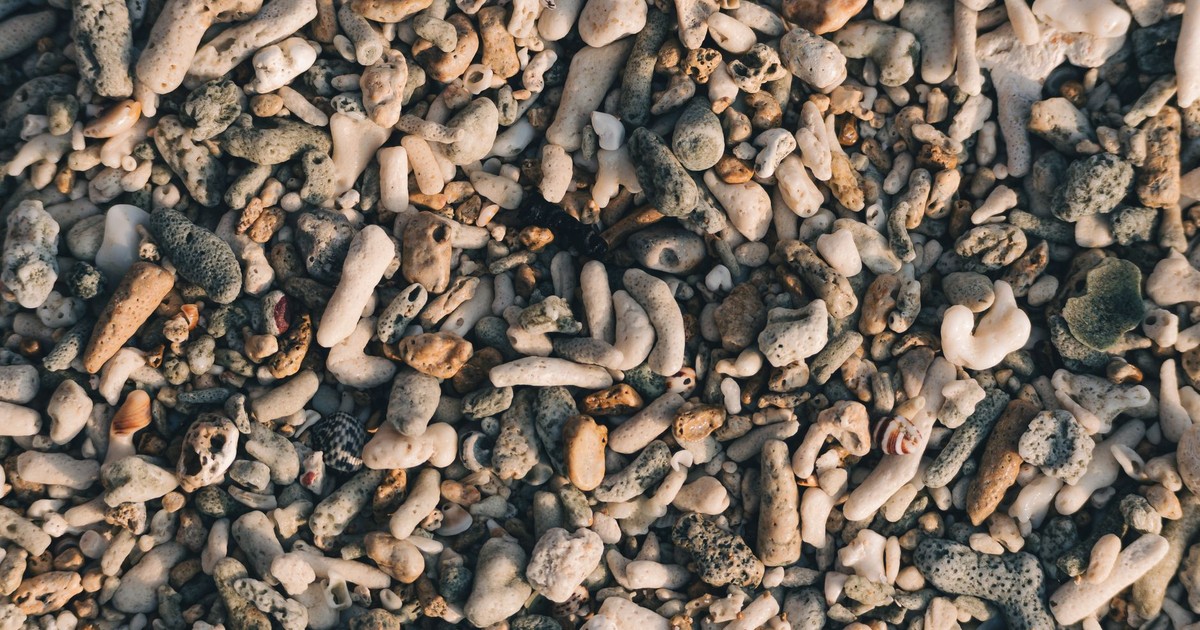 Detailed view of coral fragments and pebbles at a beach in Port Blair, India.