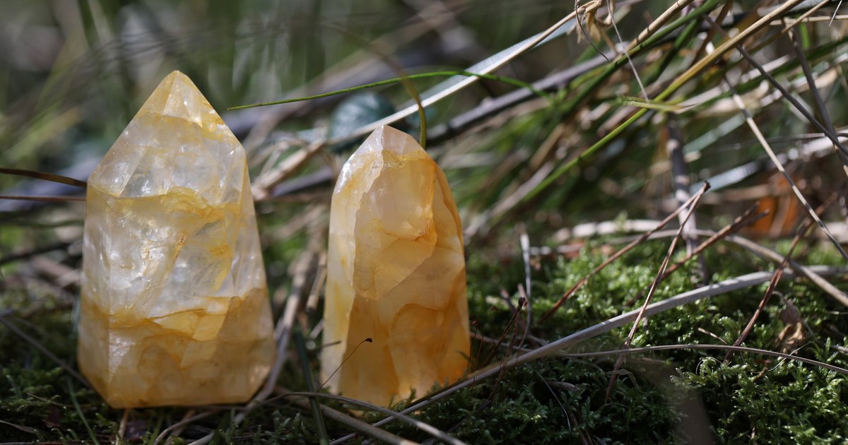 Two citrine crystals rest on vibrant moss, showcasing their natural beauty.