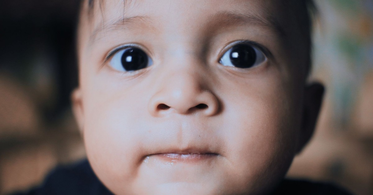Crop charming little boy with dark hair and brown eyes looking curiously at camera in daylight