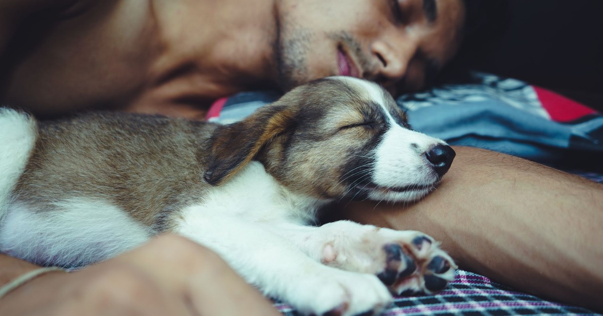 A man and a puppy peacefully sleeping together on a bed, showcasing tranquility and companionship.