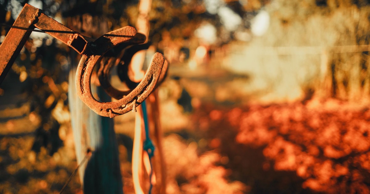 Close-up of a rusty horseshoe on a fence, with a warm autumnal background.