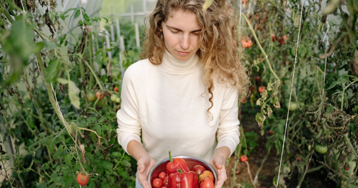 Caucasian woman holding freshly harvested vegetables in a greenhouse, showcasing organic farming.