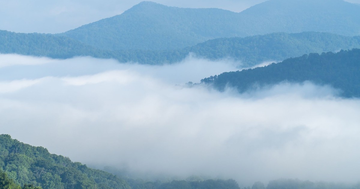 Foggy Blue Ridge Mountains with lush greenery in Asheville, NC.