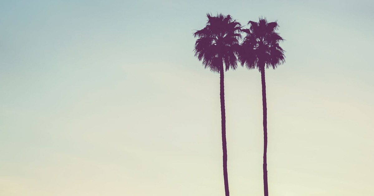 Silhouette of two palm trees against a pastel-hued sky, conveying tranquility.