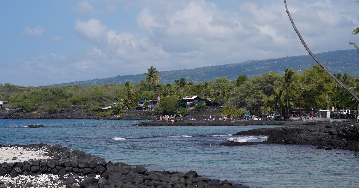 A beautiful tropical beach with palm trees and lava rocks by the ocean, ideal for vacation and relaxation.