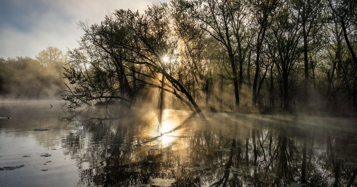 A serene view of trees reflecting in a mist-covered lake during sunrise in Wabasha, Minnesota.
