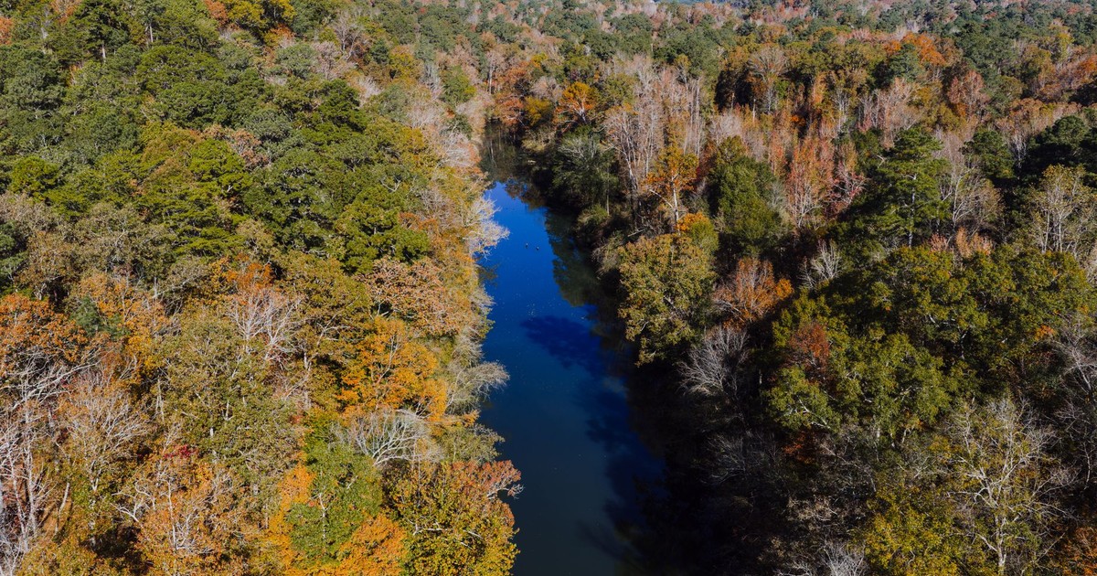 Aerial view of colorful autumn trees and river in Birmingham, Alabama.