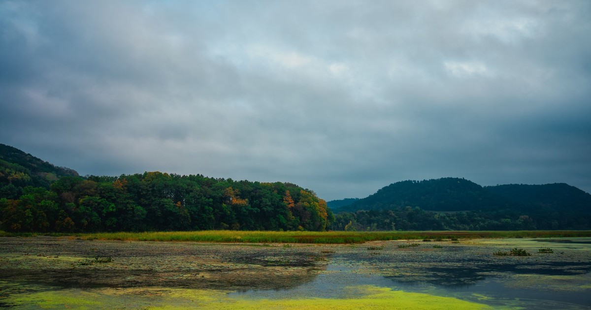 Serene autumn landscape in Alma, Wisconsin, with lush greenery and calm waters reflecting the overcast sky.
