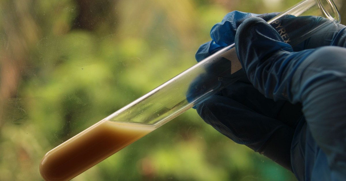 A person with gloved hand holds a test tube with liquid against an outdoor background.